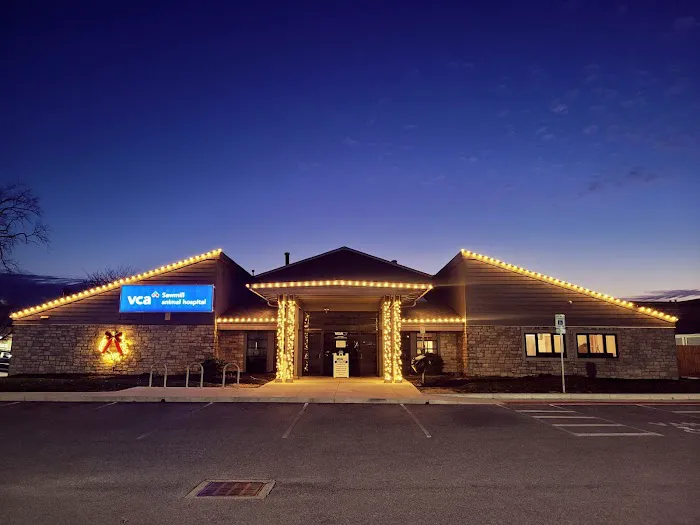 VCA Sawmill Animal Hospital 12