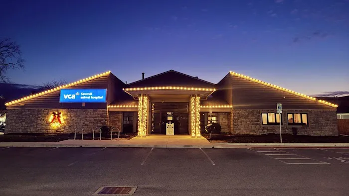 VCA Sawmill Animal Hospital 12