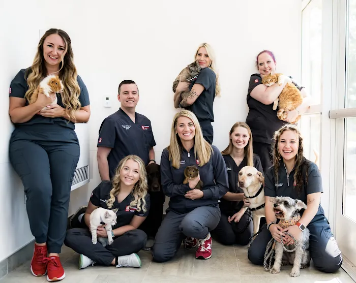 Veterinary Emergency Group 12