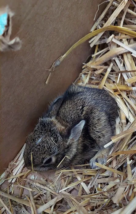 Animal Care Unlimited 12