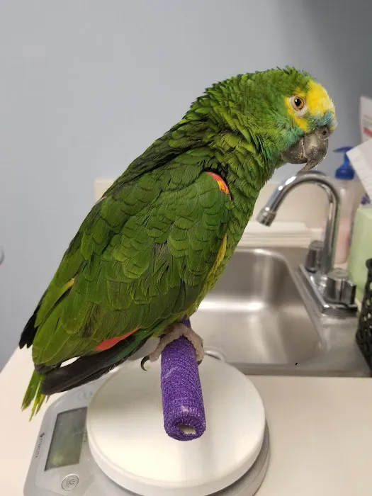 Animal Care Unlimited 12