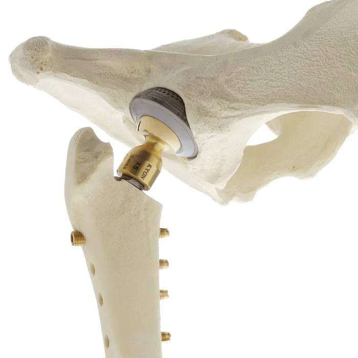 Bone, Joint and Spine Clinic 12
