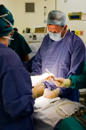Bone, Joint and Spine Clinic 12