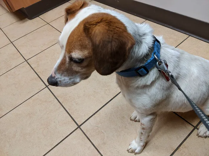 Riverside Animal Care Center: Wisecup M DVM 12