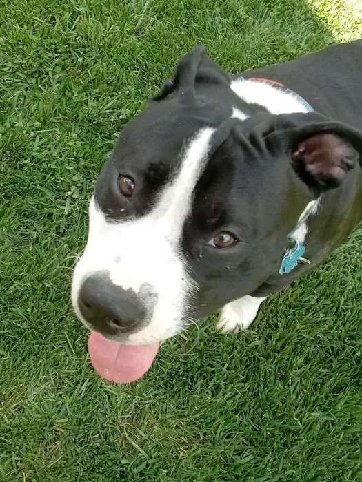 Capital City Spay and Neuter Clinic 12
