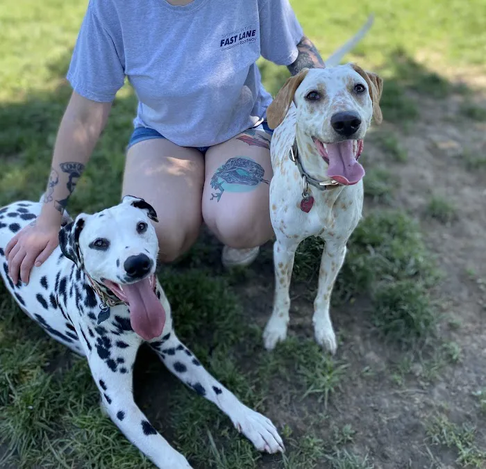 Capital City Spay and Neuter Clinic 12