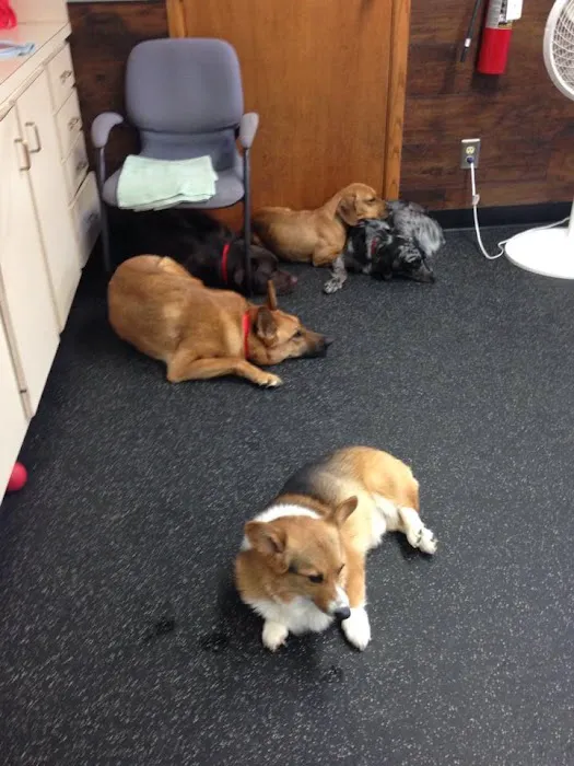 Riverside Drive Animal Care 10