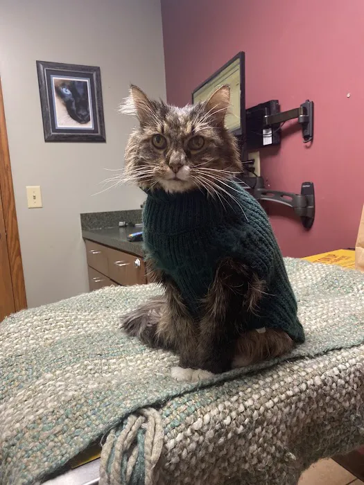 Riverside Drive Animal Care 5