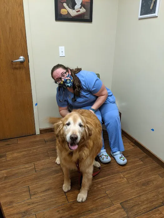 Norton Road Veterinary Hospital 12