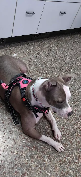 Healthy Pets of Bren-Lor 12