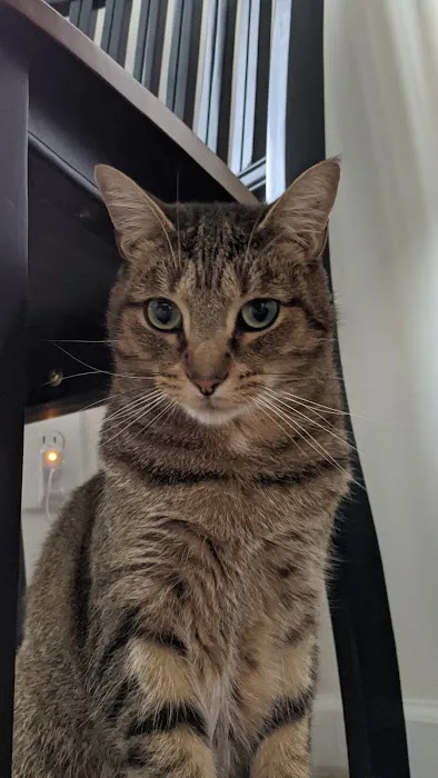 Healthy Pets of Bren-Lor 12