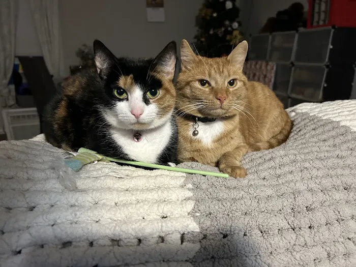 Healthy Pets of Bren-Lor 12