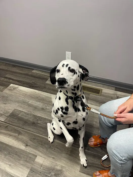 THE Grove City Veterinary Hospital 12