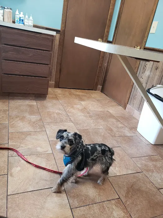 Community Veterinary Clinic 12