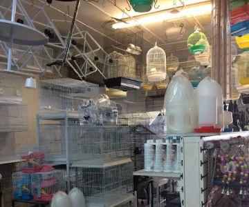 King Pet Shop