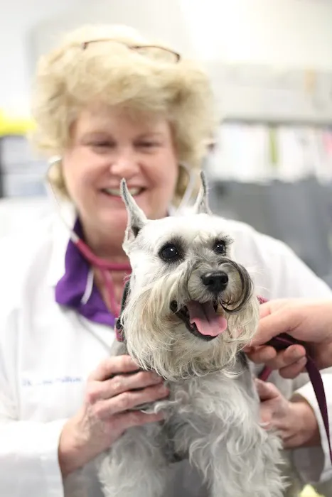 MedVet Columbus 12