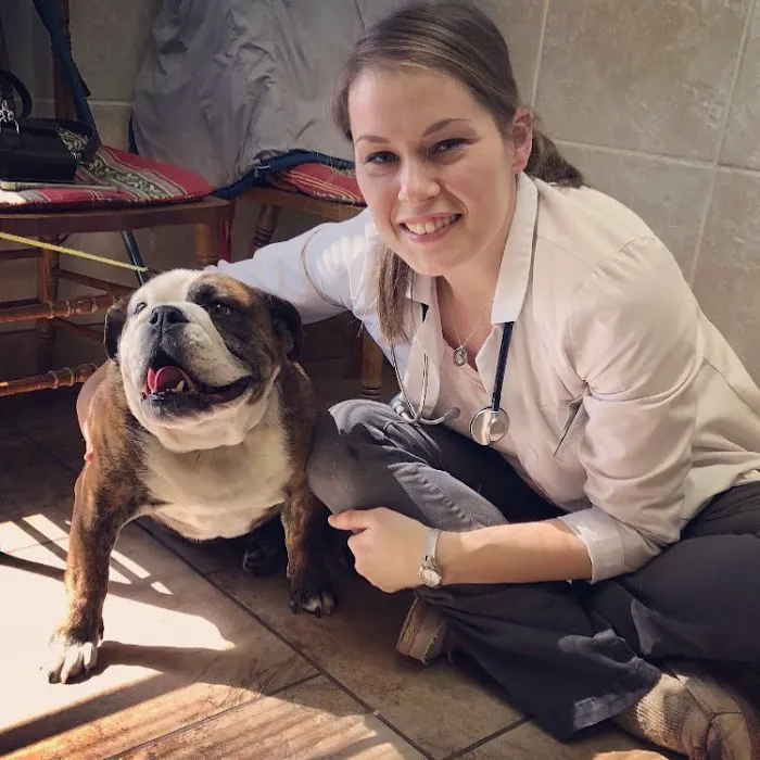 Community Veterinary Clinic 12