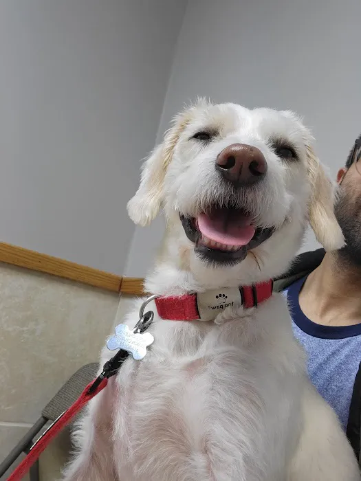 Community Veterinary Clinic 12