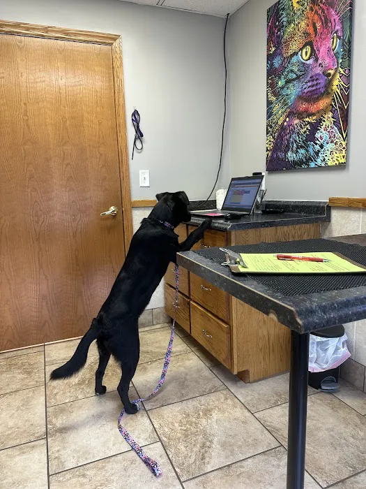 Community Veterinary Clinic 12