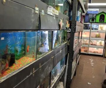 La Selva Pet Shop