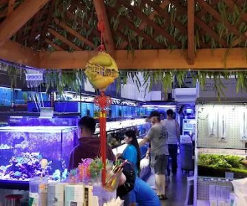 Bob's Tropical Fish