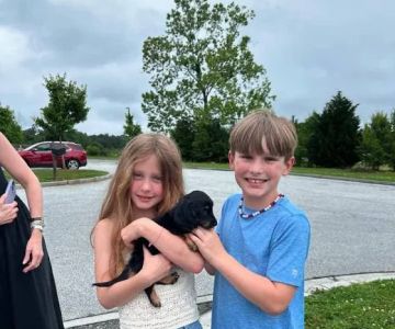 Teacup poodle puppies for sale near me