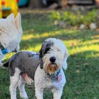 Rascal Unit ico