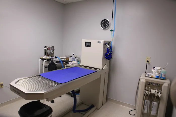 Worthington Woods Animal Care Center 12