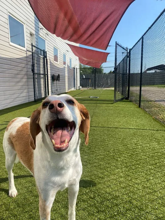 Worthington Woods Animal Care Center 12