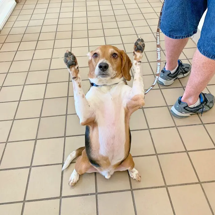 Worthington Woods Animal Care Center 12