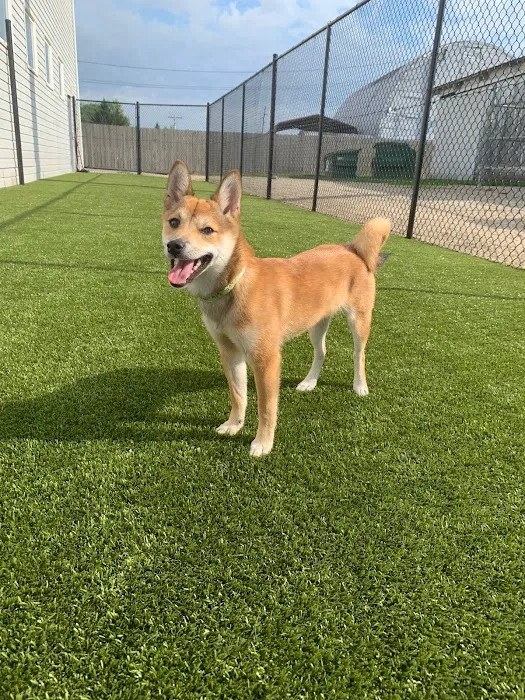Worthington Woods Animal Care Center 12