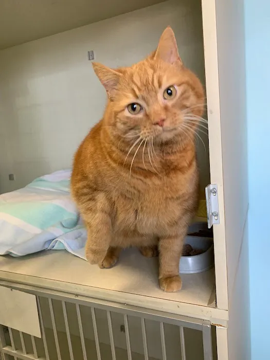 Worthington Woods Animal Care Center 12