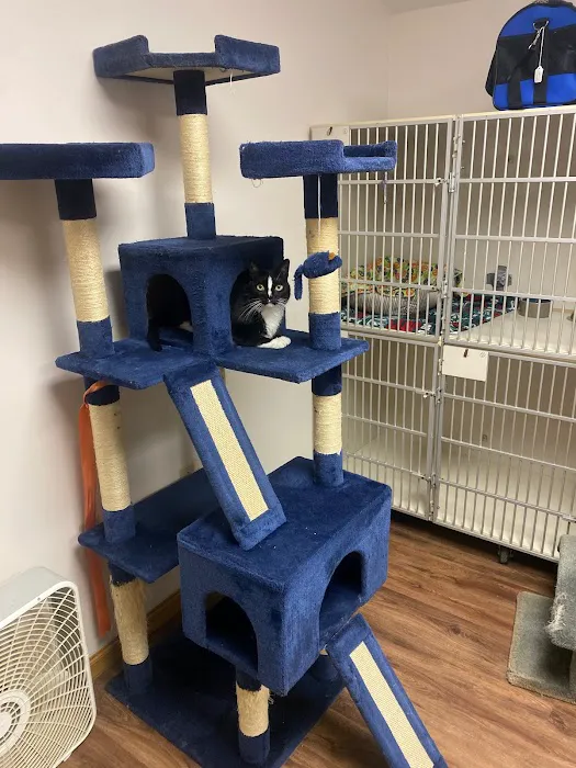Worthington Woods Animal Care Center 12