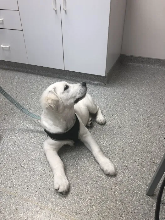 Oak Creek Veterinary Hospital 12