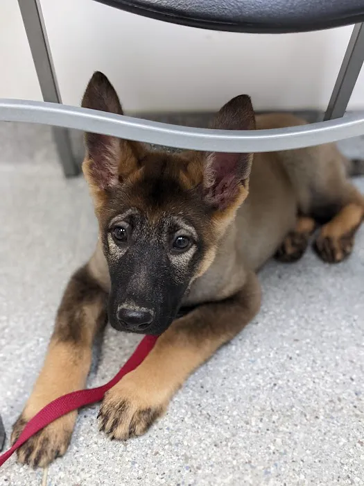 Oak Creek Veterinary Hospital 12