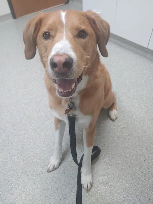 Oak Creek Veterinary Hospital 12
