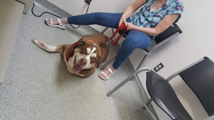 Oak Creek Veterinary Hospital 12