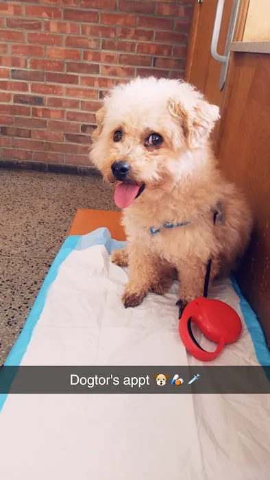 Red Maples Veterinary Clinic 12