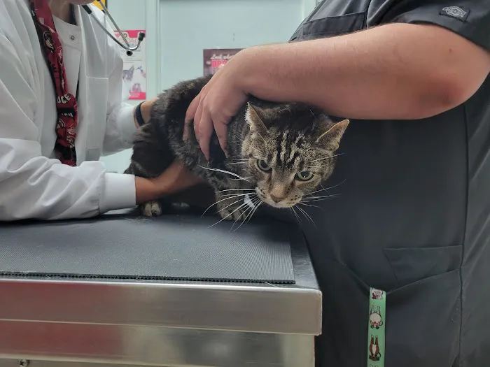 Red Maples Veterinary Clinic 12