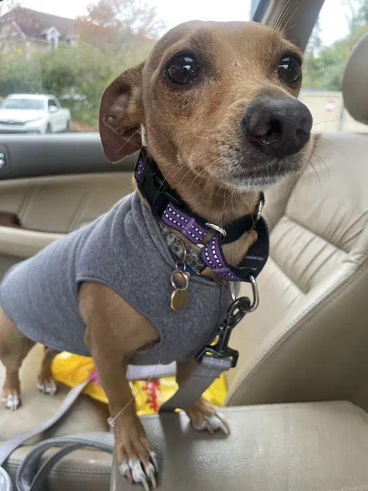 Whitehall Animal Hospital Inc 12
