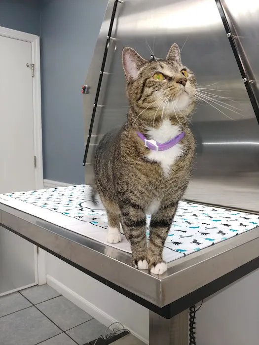 Berwick Animal Clinic 3
