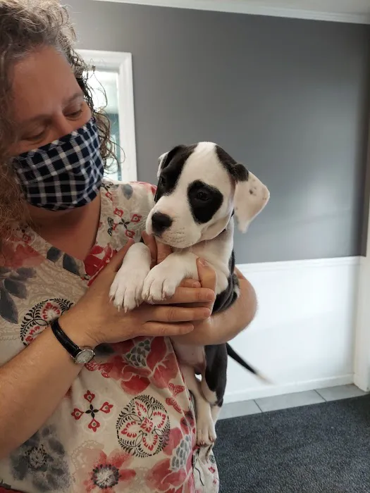 Berwick Animal Clinic 4