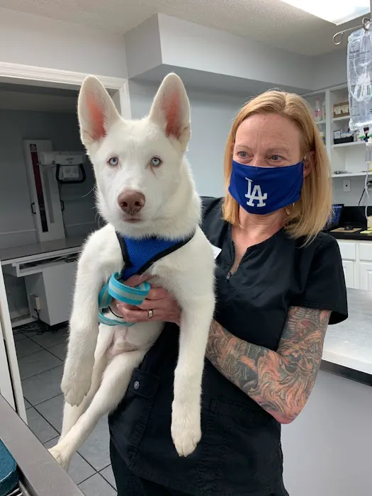 Berwick Animal Clinic 8