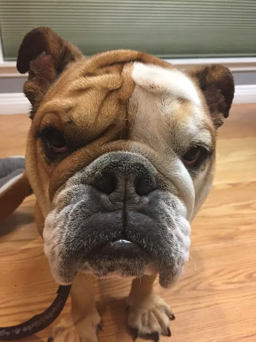Berwick Animal Clinic 2