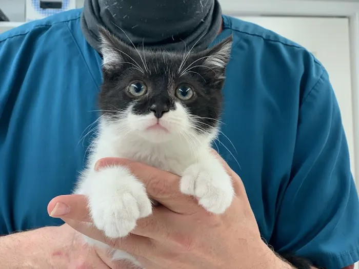 Berwick Animal Clinic 5