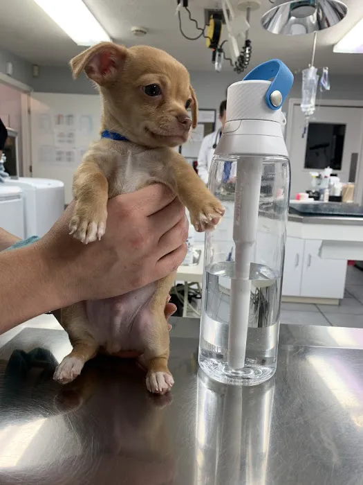 Berwick Animal Clinic 9