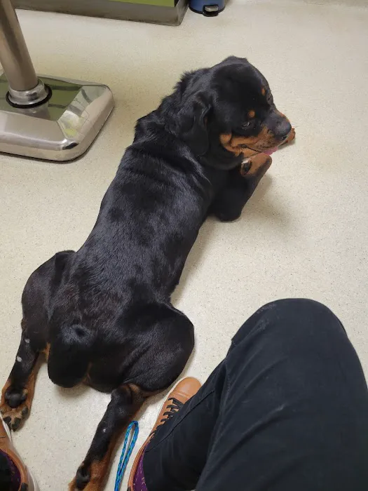 Hamilton Road Animal Hospital 12