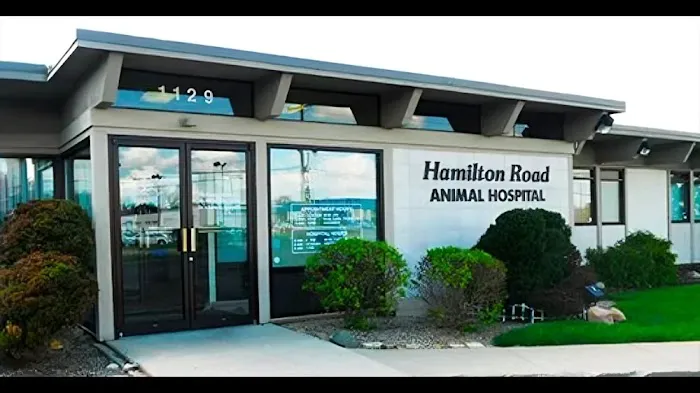 Hamilton Road Animal Hospital 12