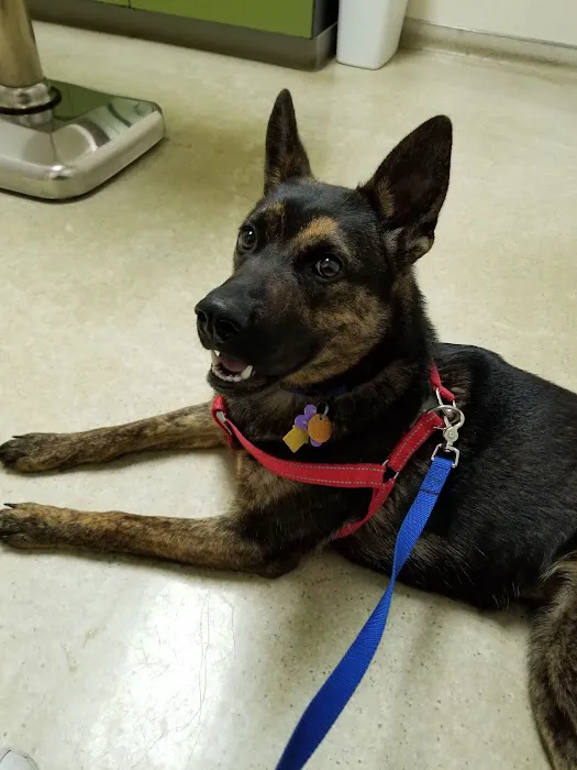 Hamilton Road Animal Hospital 12