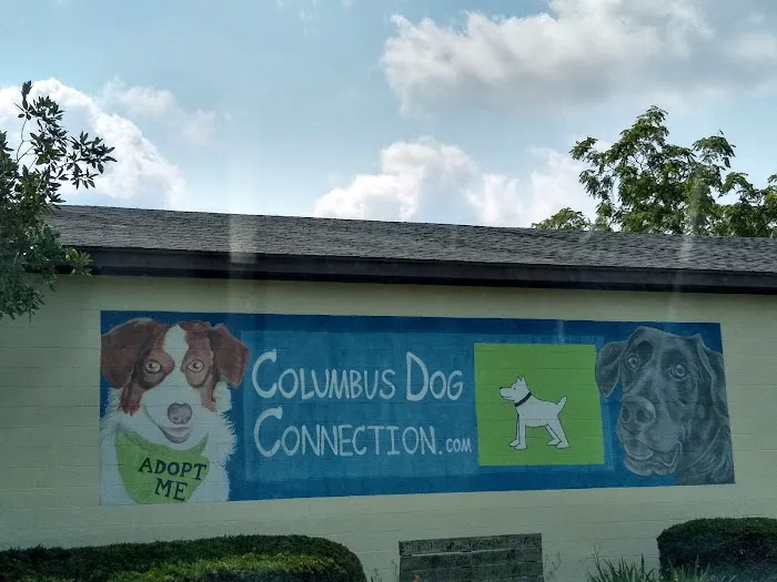 Columbus Dog Connection 12